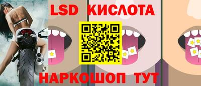 прущие грибы Тулун
