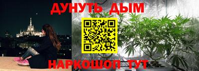 мяу мяу мука Тула