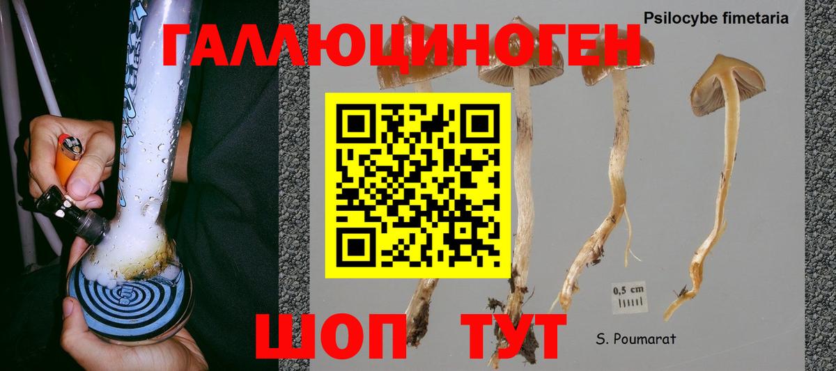 Бирск  Галлюциногенные грибы GOLDEN TEACHER  Вход с VPN  Псилоцибиновые грибы ЛСД 
